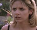 Buffy don't likes him